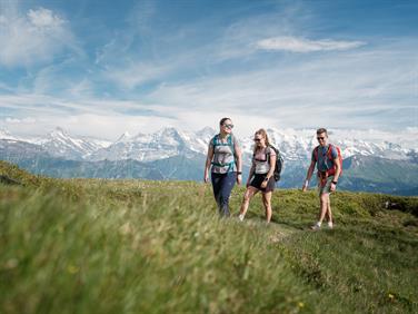 Image for: Hiking ticket (Hiking from Vorsass to Niederhorn / BBT)
