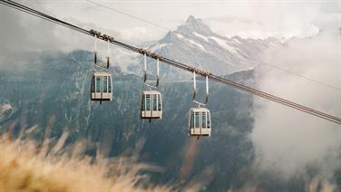 Image for: One-way and return trip