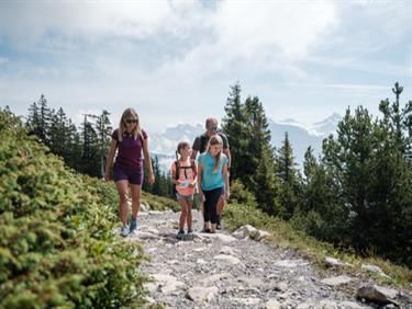 Image for: Hiking ticket (Hiking from Niederhorn to Beatenberg / BBT)