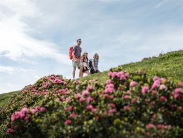 Image for: Hiking ticket (Hiking from Beatenberg to Vorsass / BBG)