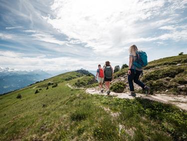 Image for: Hiking ticket (Hiking from Vorsass to Niederhorn / BBG)