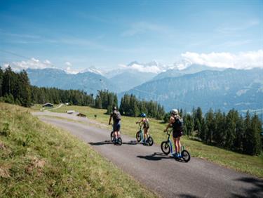 Image for: Hiking ticket (Hiking / Scooter Bike Vorsass - Beatenberg / BBT)