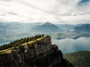 Image for: AEK Jubiläum