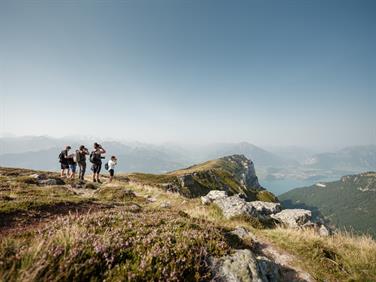 Image for: Observing Wildlife